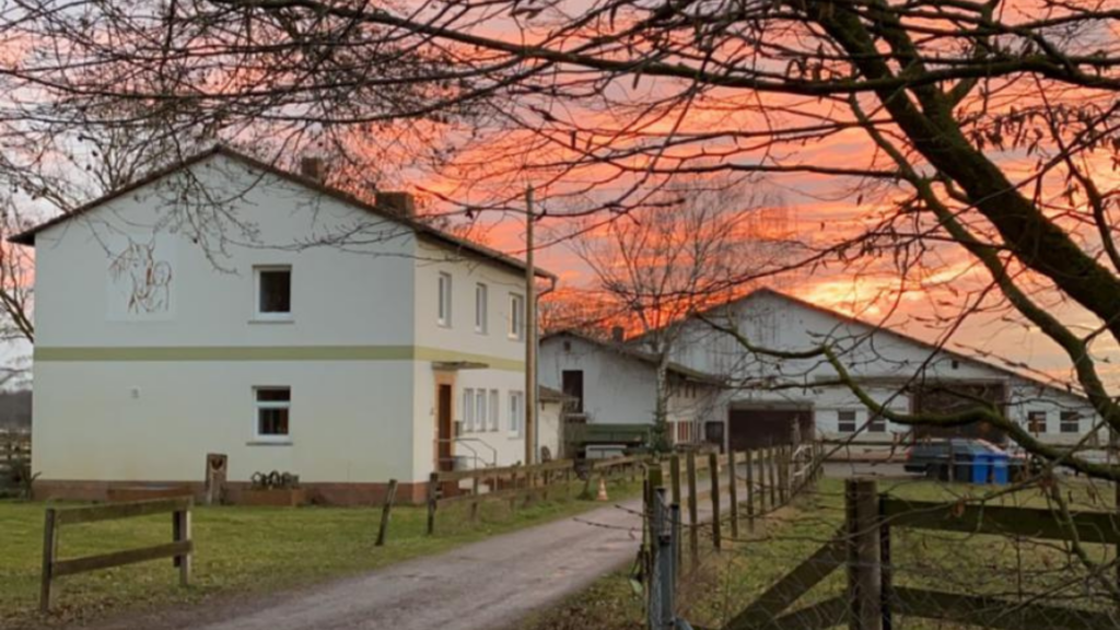 titel homepage waldeck