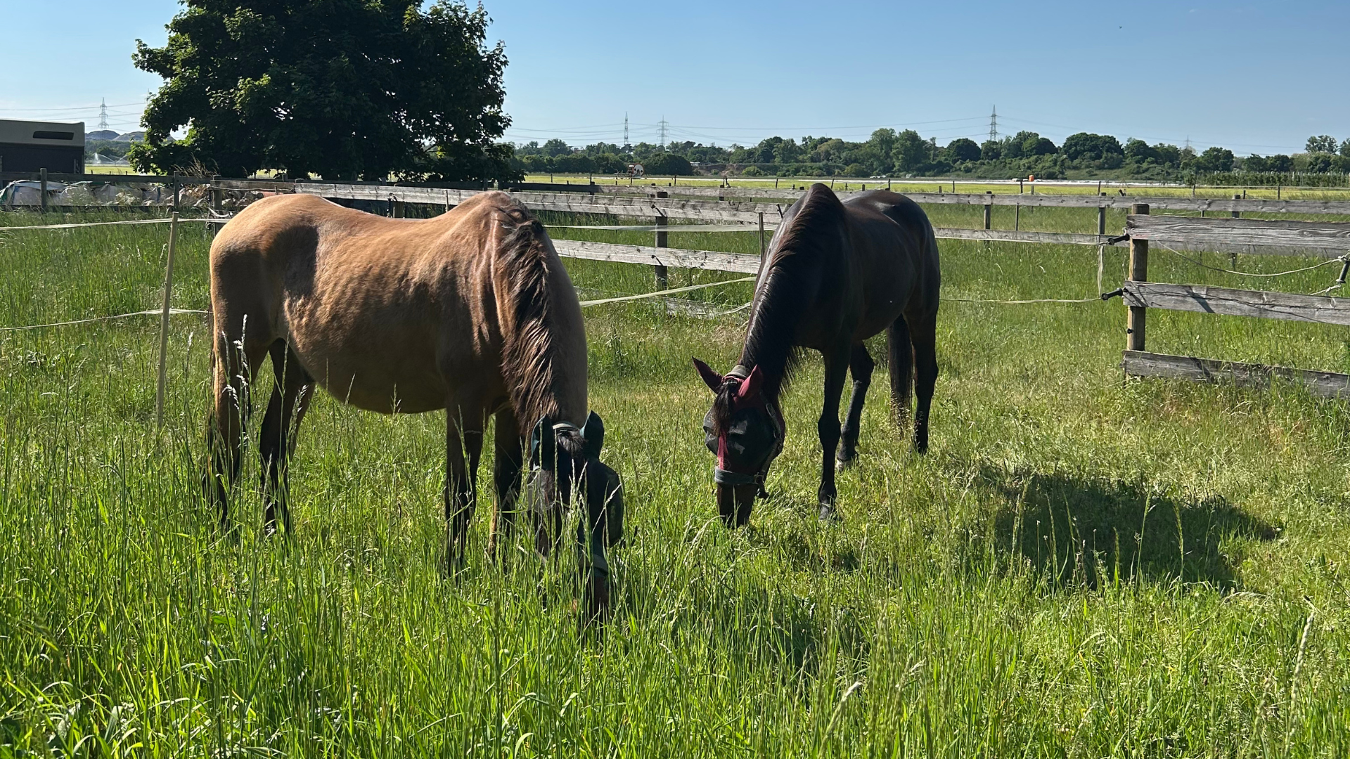 titel homepage waldeck 6