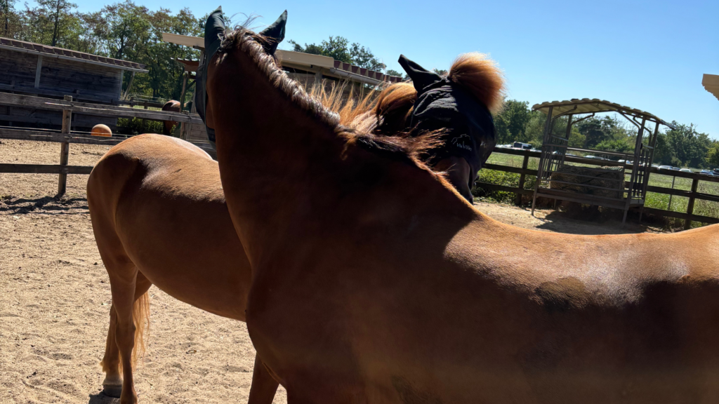 titel homepage waldeck 7