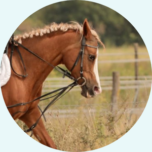 design ohne titel 10