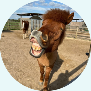 design ohne titel 11