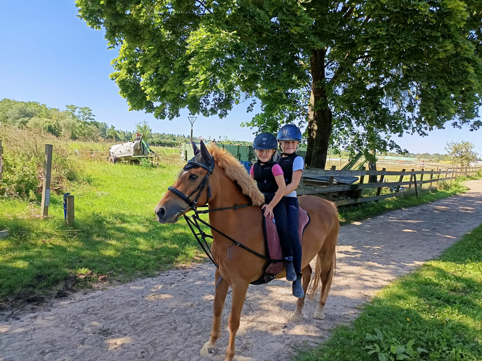 whatsapp image 2026 03 06 at 12.51.57 (1)