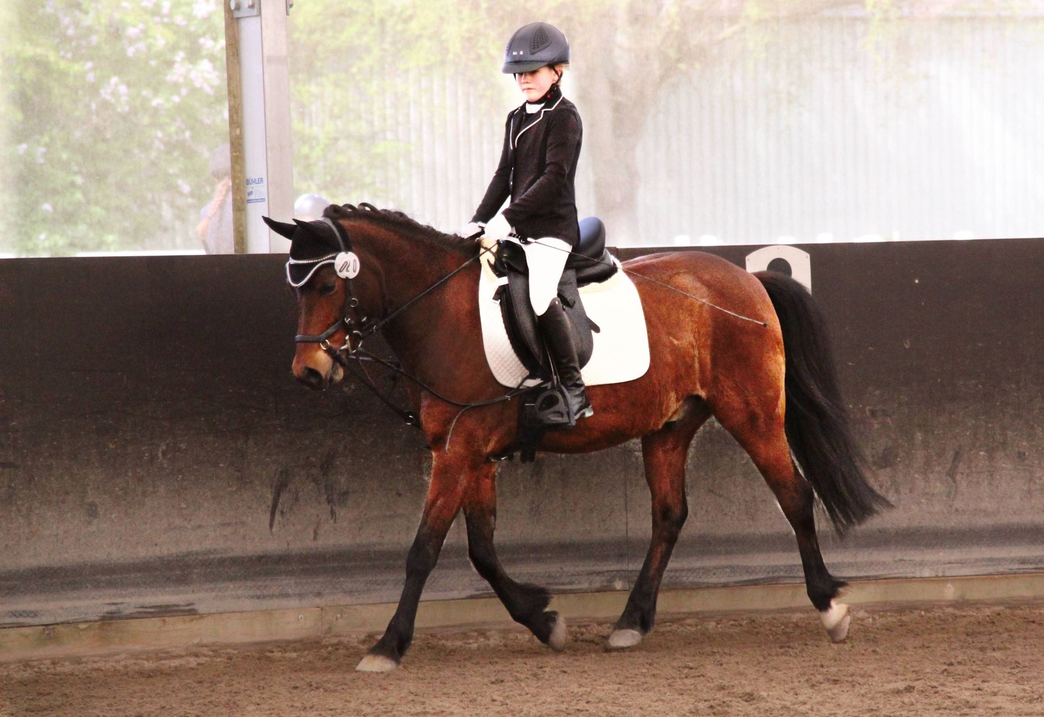 whatsapp image 2026 03 06 at 12.51.57 (2)