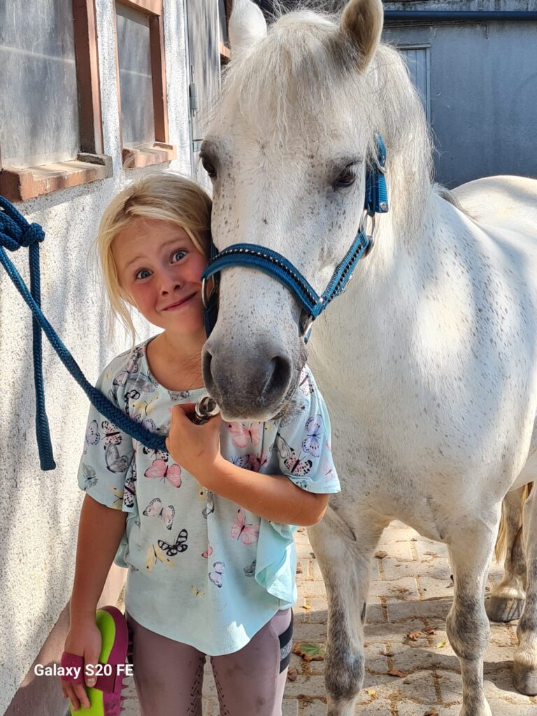 whatsapp image 2026 03 06 at 12.51.57 (4)