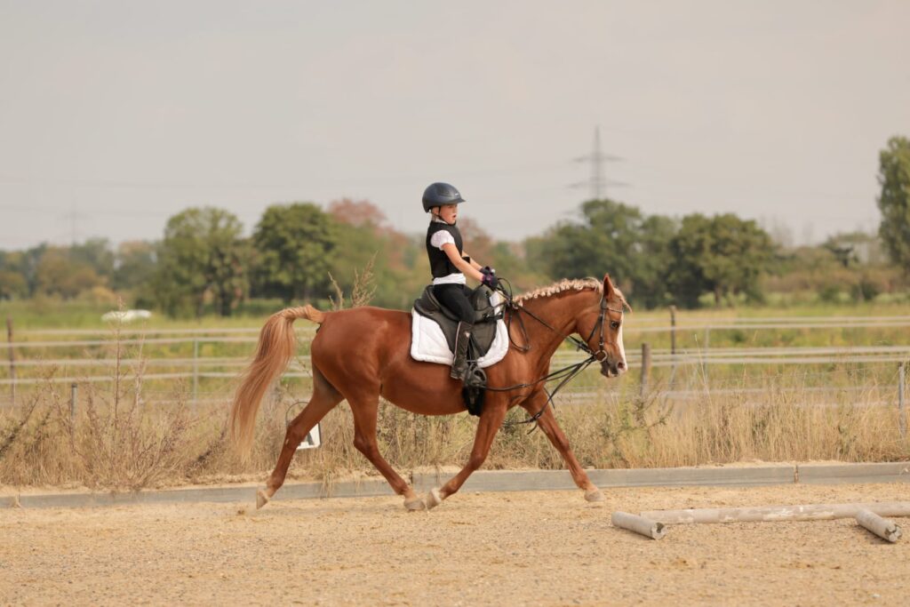 whatsapp image 2026 03 06 at 12.51.57 (5)