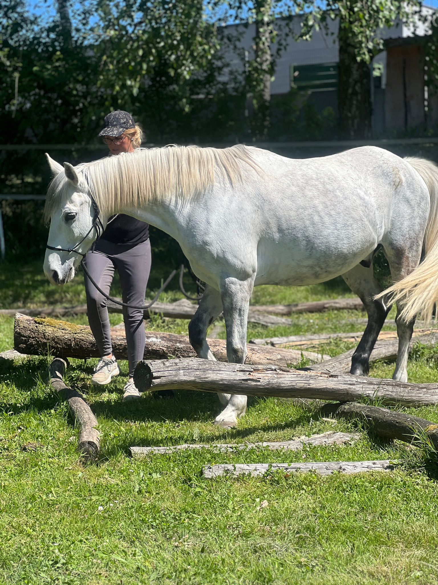 whatsapp image 2026 03 06 at 12.51.57